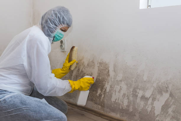 Best Crawl Space Mold Removal  in Lackland Af, TX