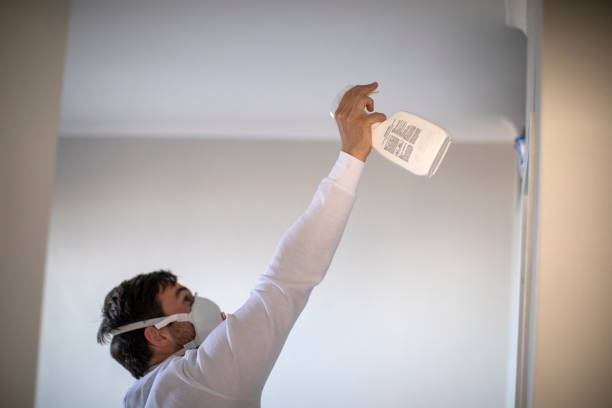 Best Fast Mold Removal  in Lackland Af, TX
