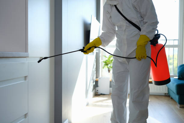 Best Emergency Mold Removal  in Lackland Af, TX