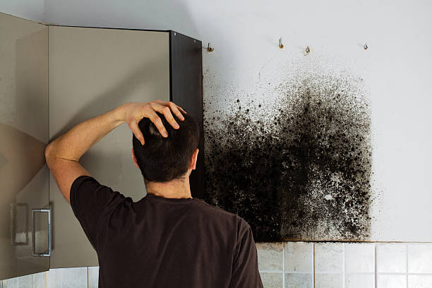 Best Local Mold Removal Service  in Lackland Af, TX